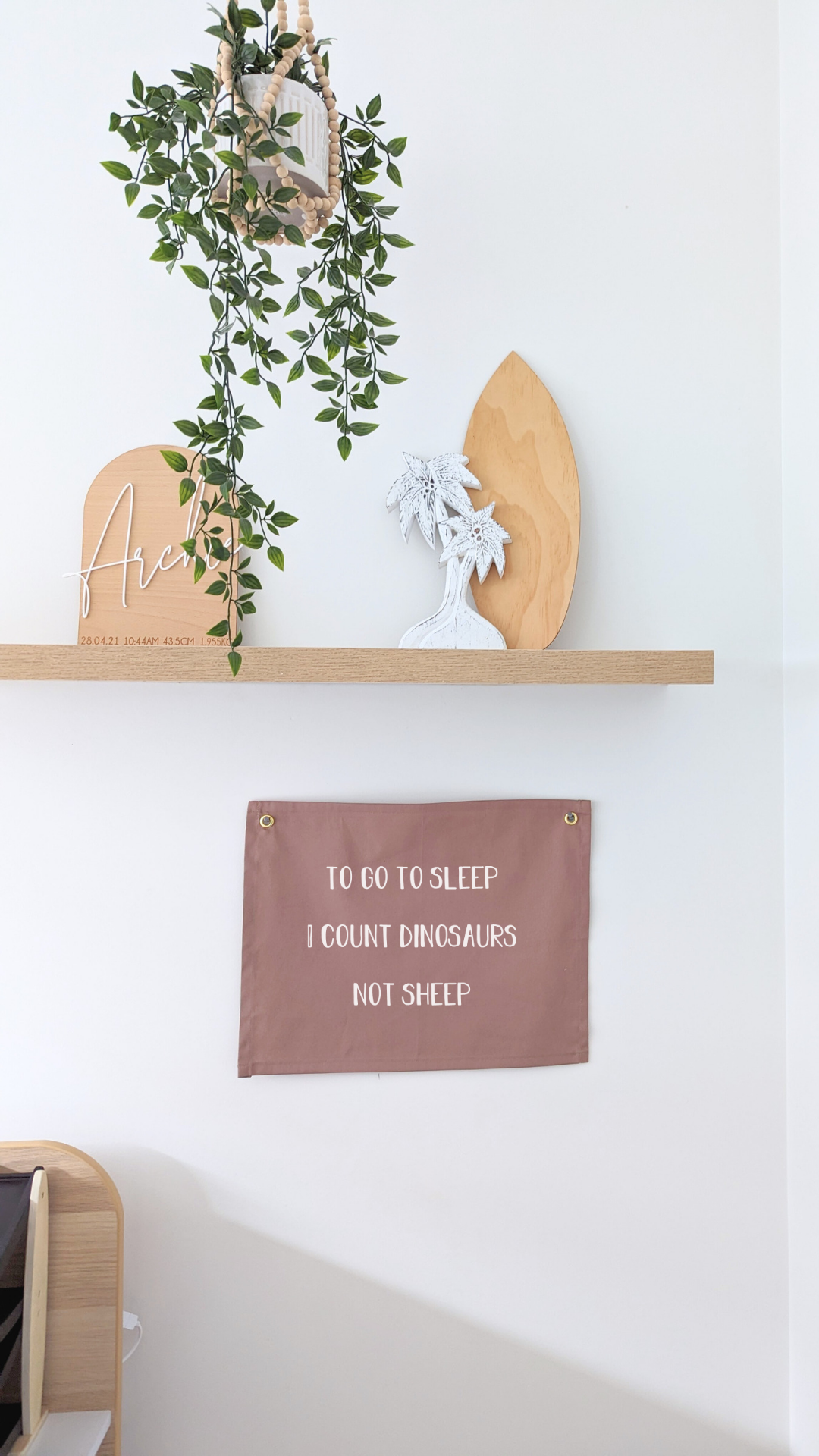 I Go to sleep I count Dinosaurs not sheep | Wall Banner