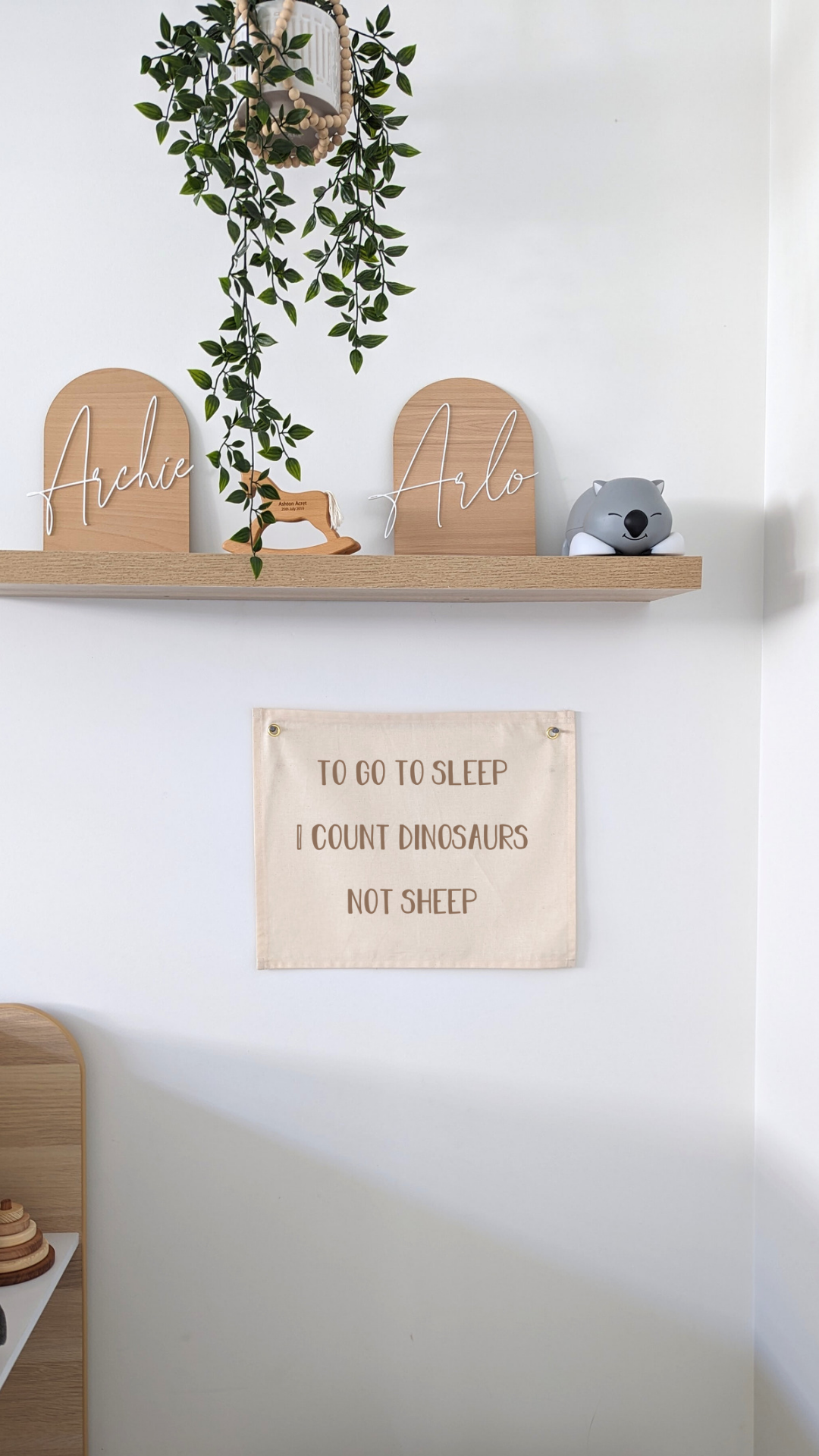 I Go to sleep I count Dinosaurs not sheep | Wall Banner